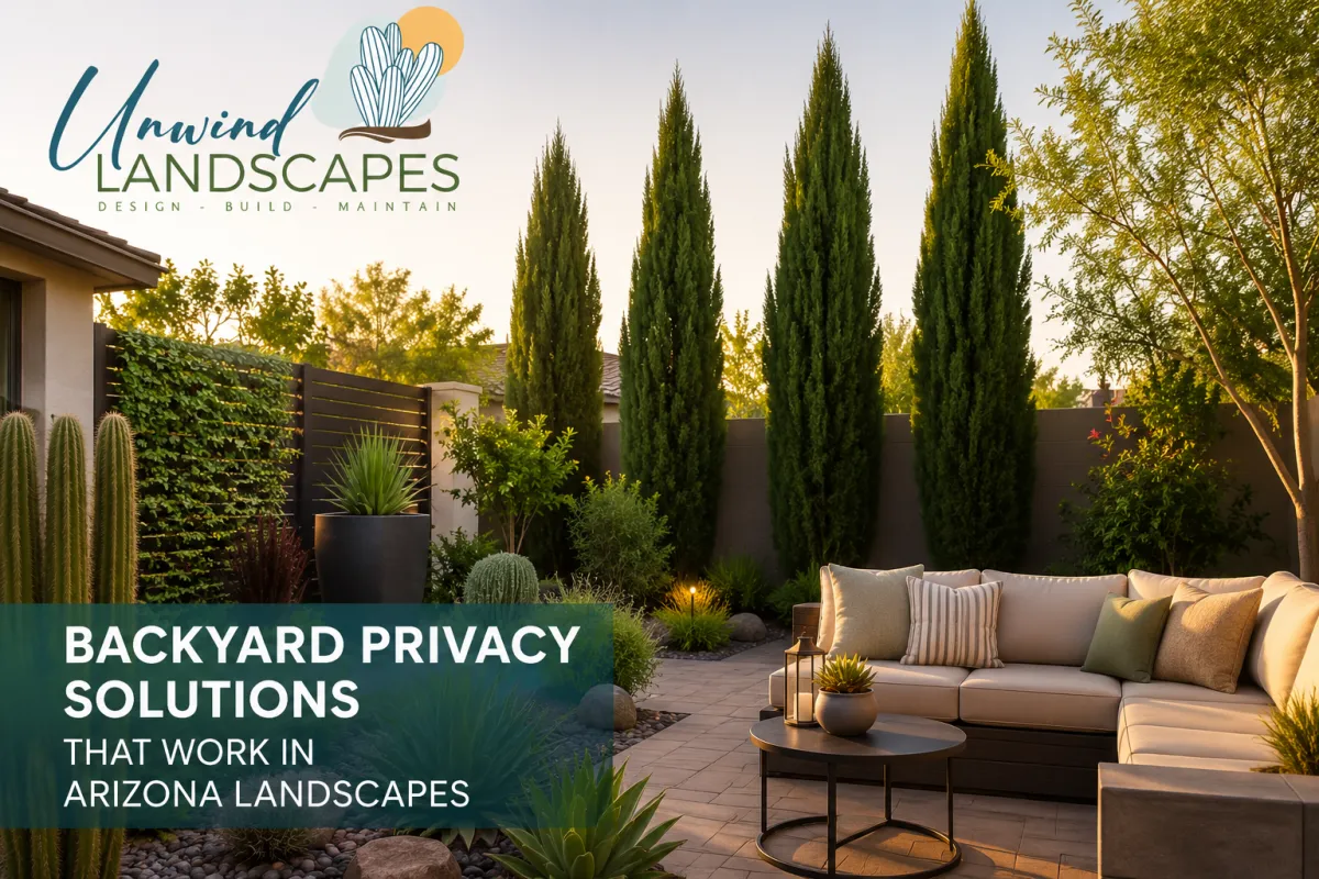 Creating Backyard Privacy in Arizona with Smart Landscape Design