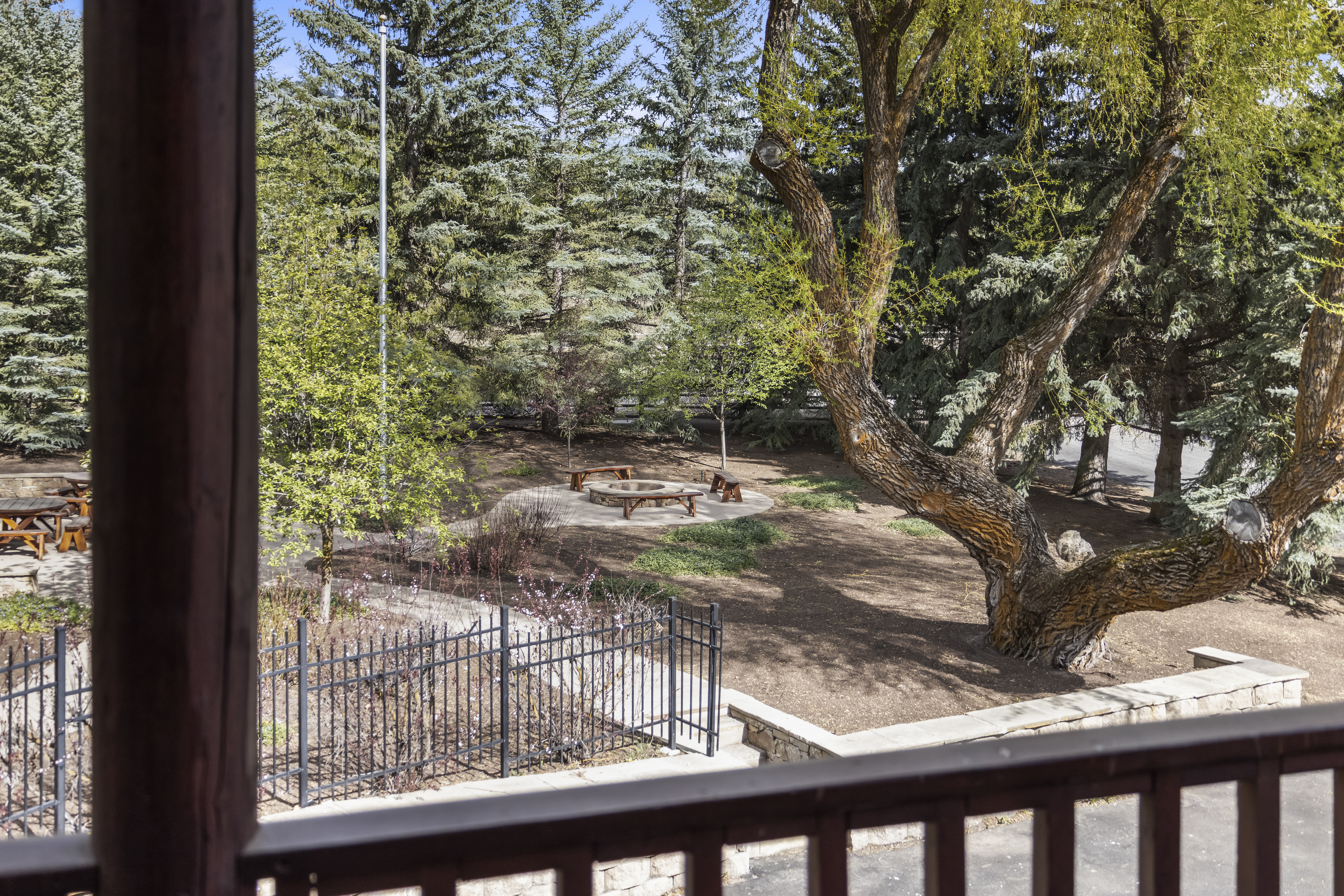 Wooded area for relaxing and connecting