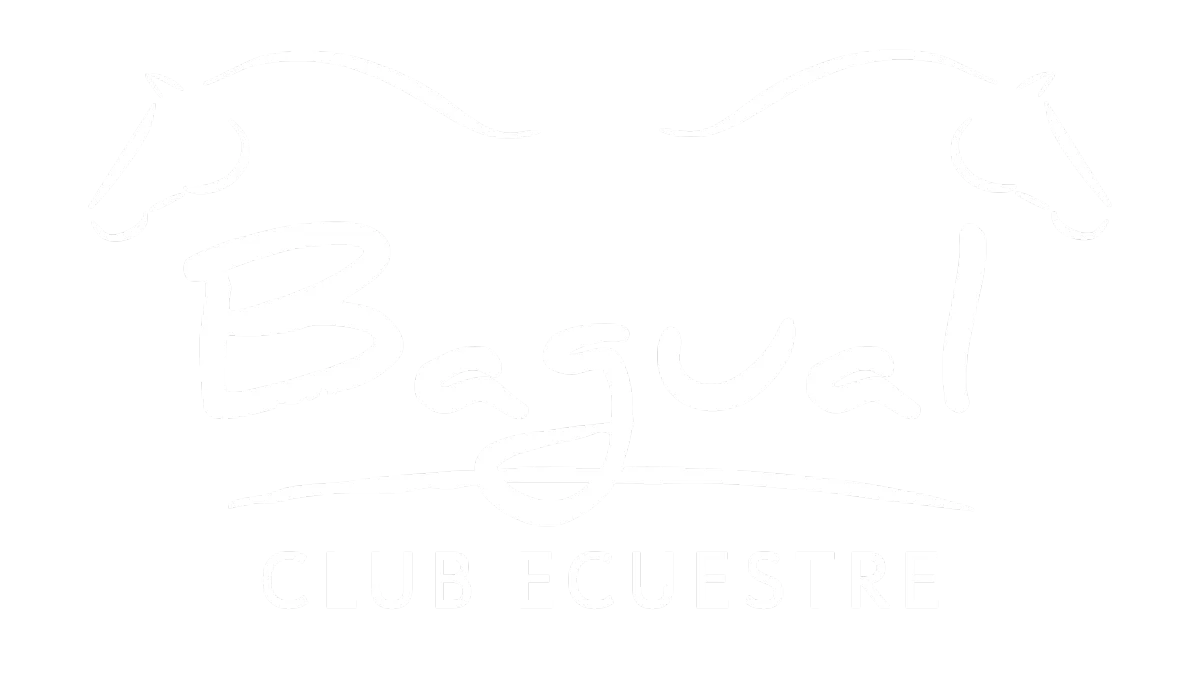 Club Ecuestre Los Angeles, Clases de Polo, Equitacion, Los Angeles Chile