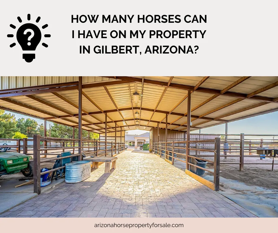 How Many Horses Can I Have on My Property in Gilbert, Arizona?