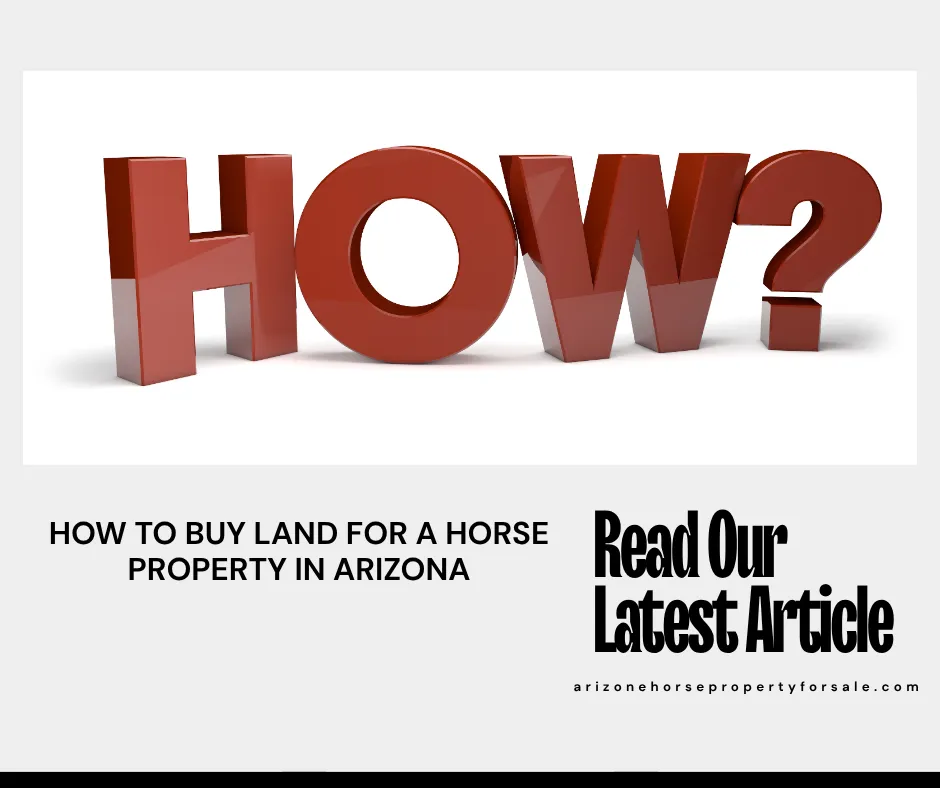 buying land for horse property Arizona Kim Williamson