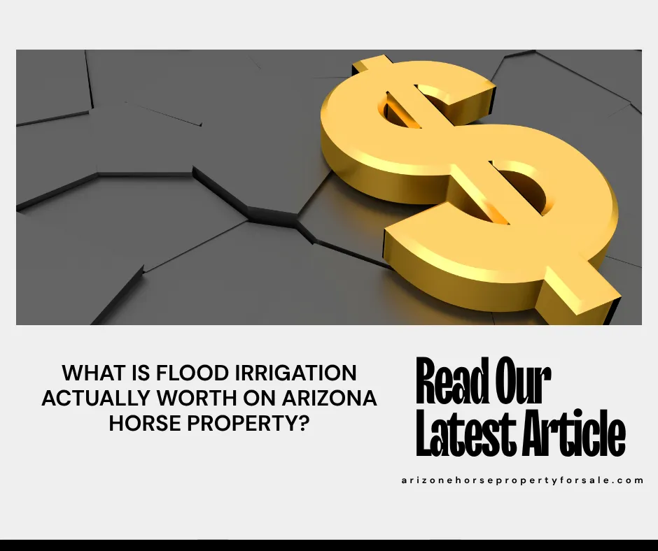 flood irrigation value Arizona horse property Kim Williamson