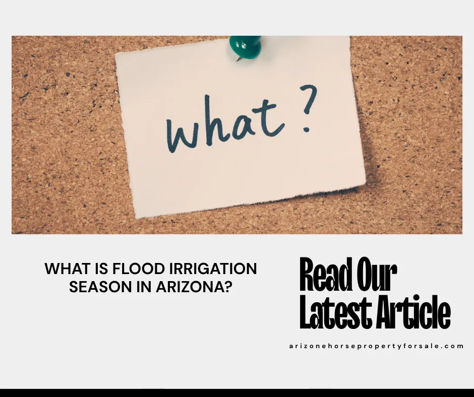 Flood irrigation water flooding a green horse pasture in the Arizona East Valley