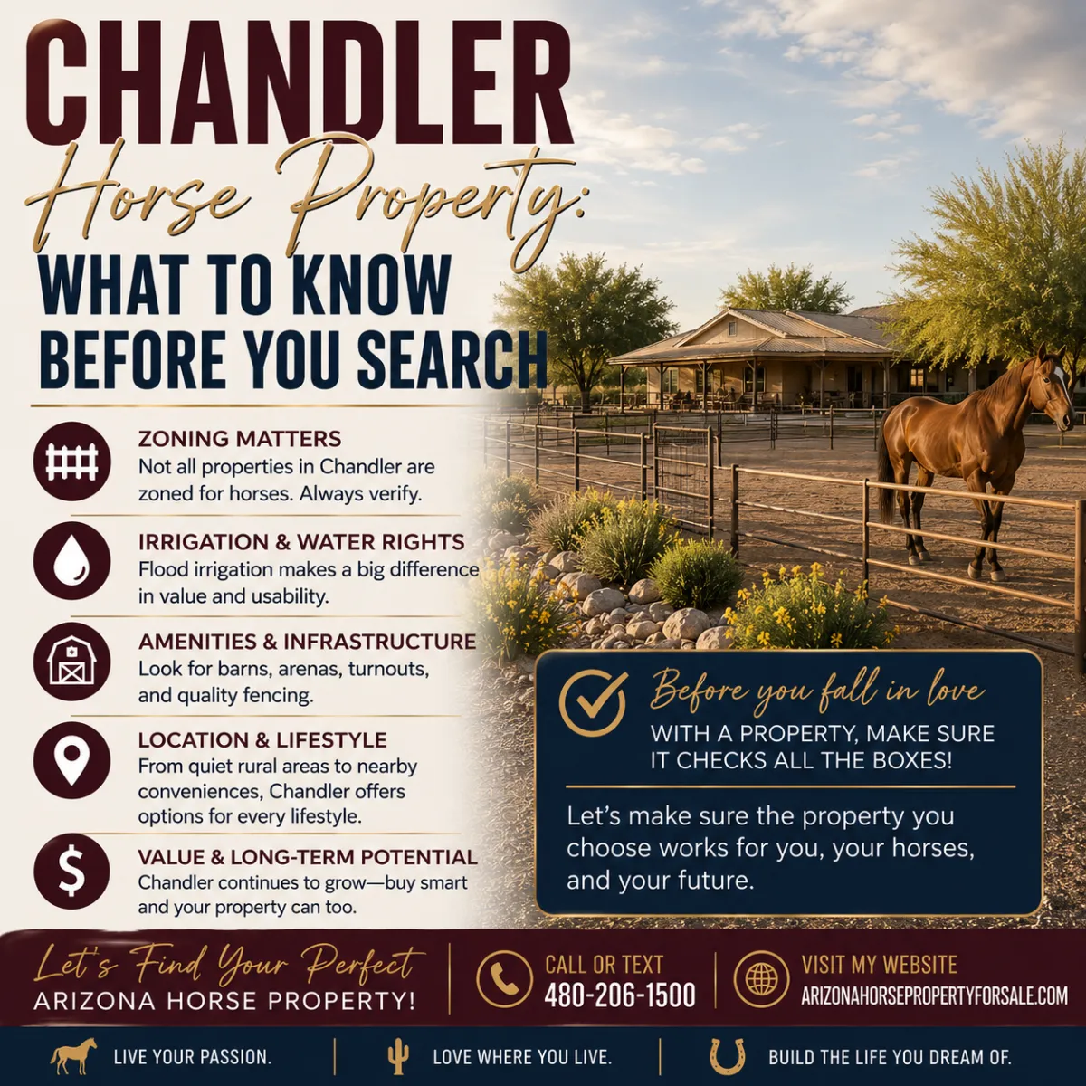 Chandler Arizona Horse Property Guide | Kim W.