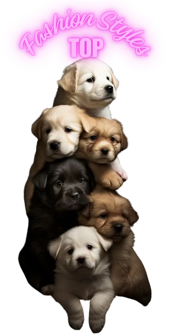 Dorg grooming