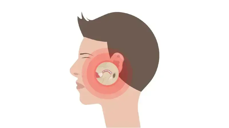 Illustration of a person's ear, highlighting the outer ear, focused on dental health