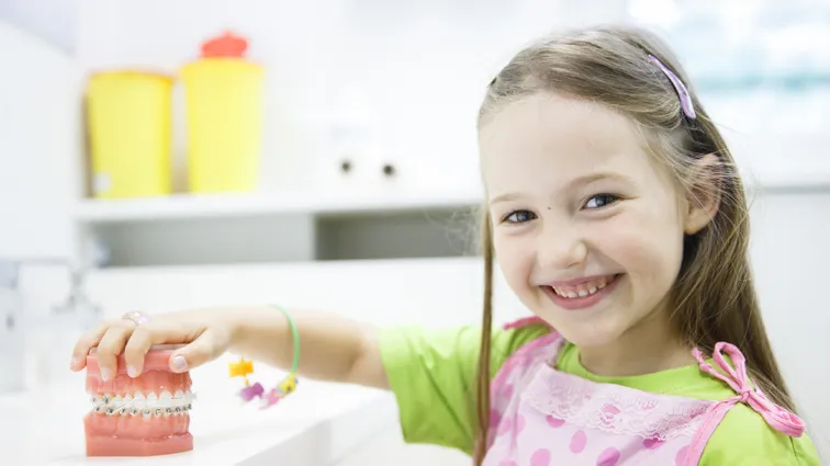 A smiling young girl in a pink apron holds a model of teeth with braces, in a orthodontic office setting.