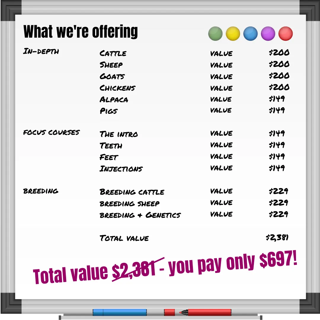 whiteboardshowing total course value of $2381