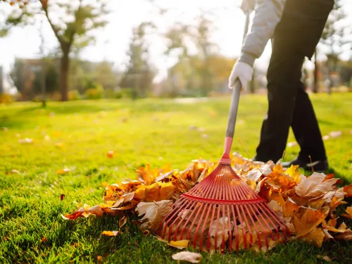 Spring & Fall Cleanups in Providence,RI