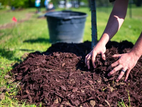 Mulching in Providence,RI