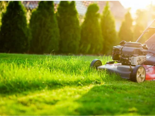 {{ custom_values.service_1 }} in {{custom_values.biz_area_1})