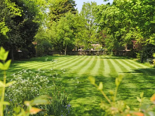 Warwick Lawn Maintenance