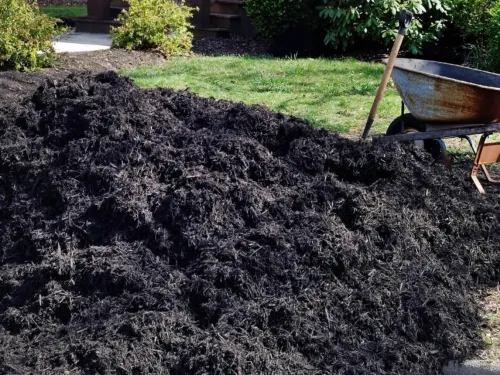 Pawtucket Mulching