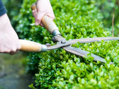 Cranston Lawn Maintenance