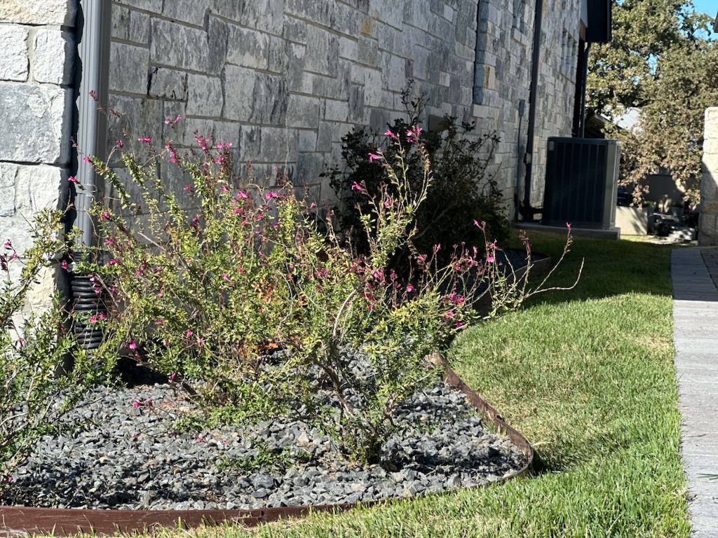 Plant Care & Upkeep in Burnet