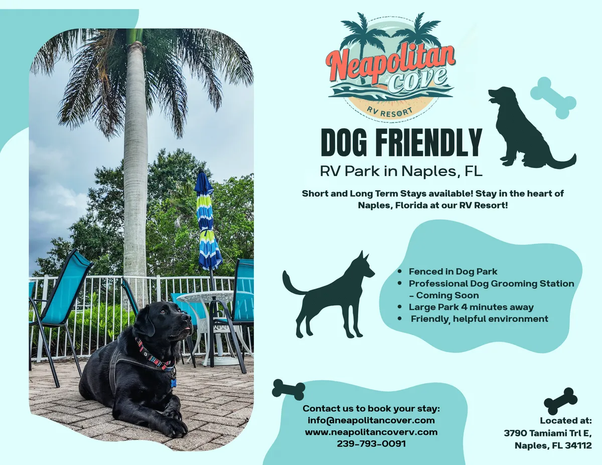 Upscale RV resort in Naples Florida with palm trees and RVs