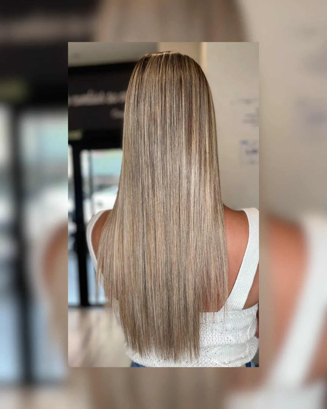 brown horse in close up photography