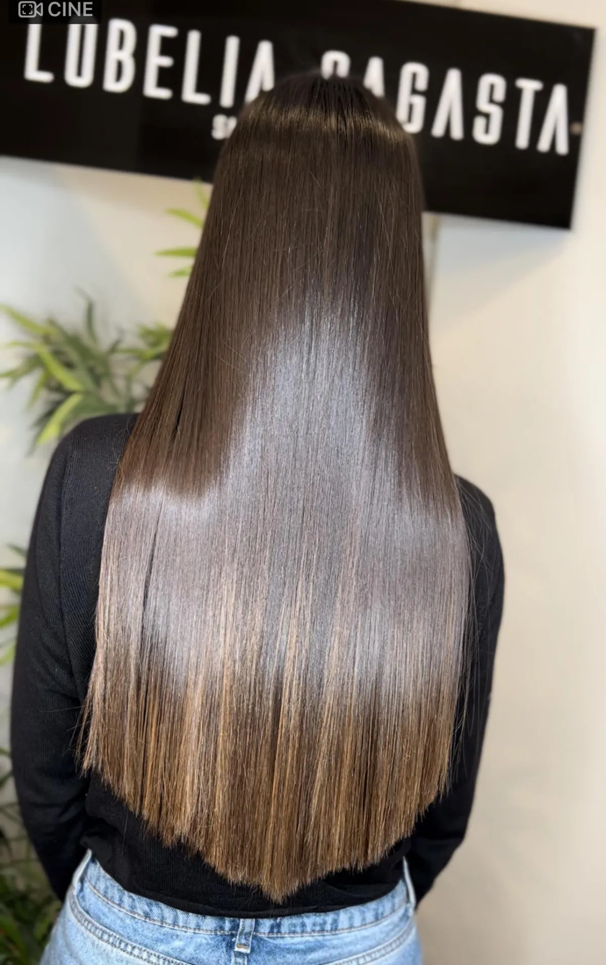 brown horse in close up photography