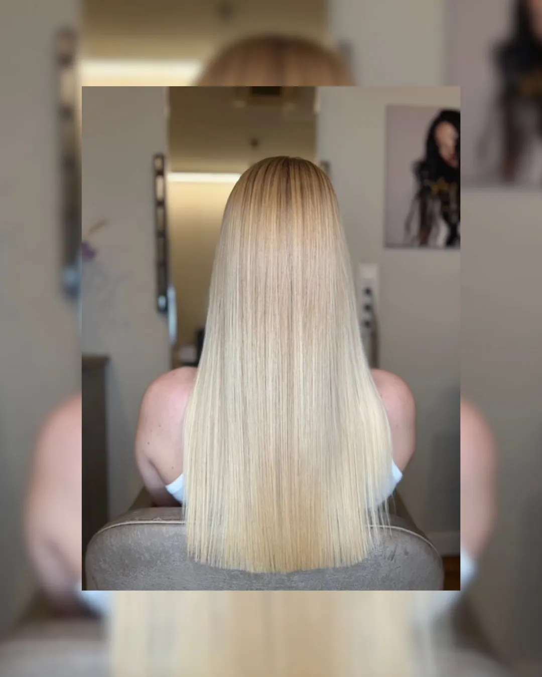 brown horse in close up photography