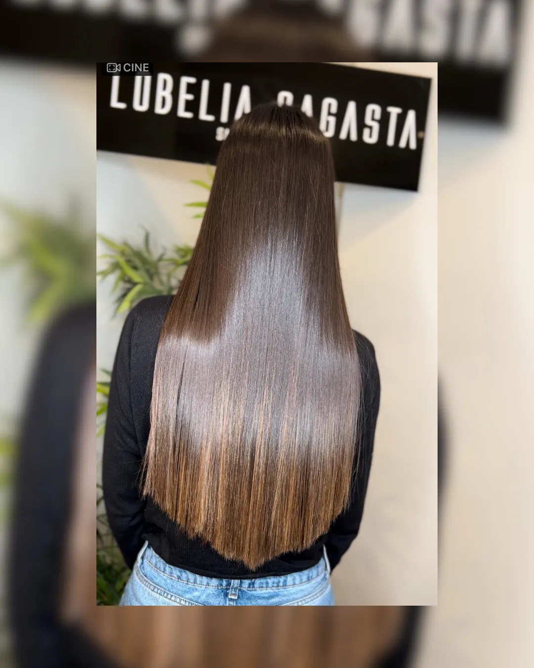 brown horse in close up photography