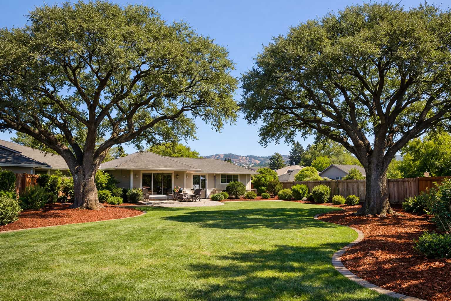Tree trimming and pruning service in Petaluma, CA improving tree health and appearance