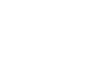 BizSmart