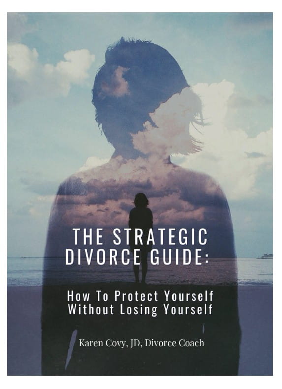 the strategic divorce guide