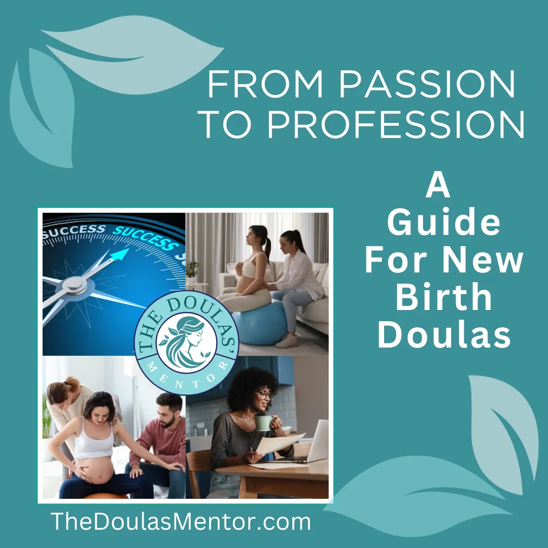 cover for passion to profession guide for new birth doulas
