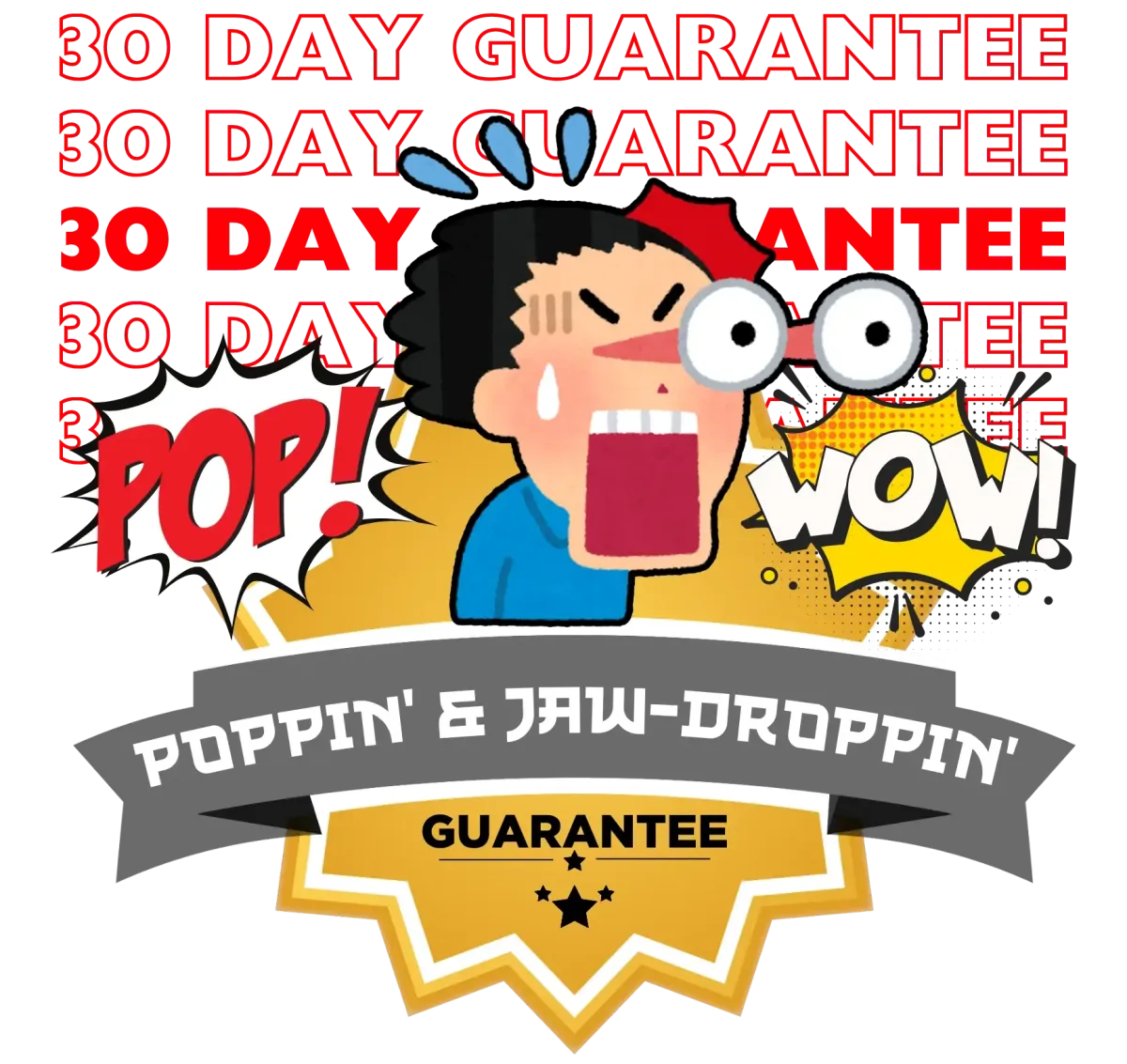 Pre-Launch Guarantee