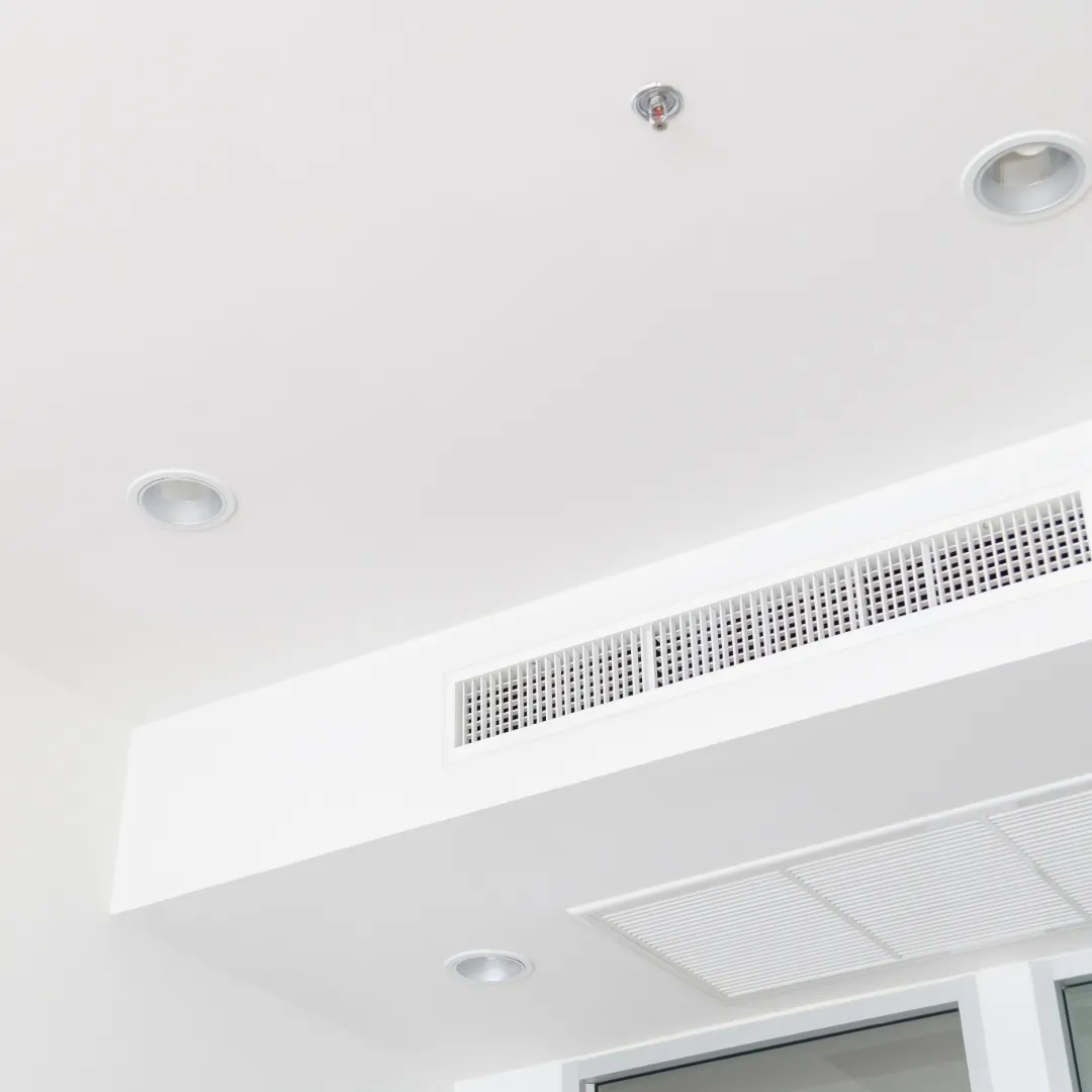 Dual stage whole home water filter