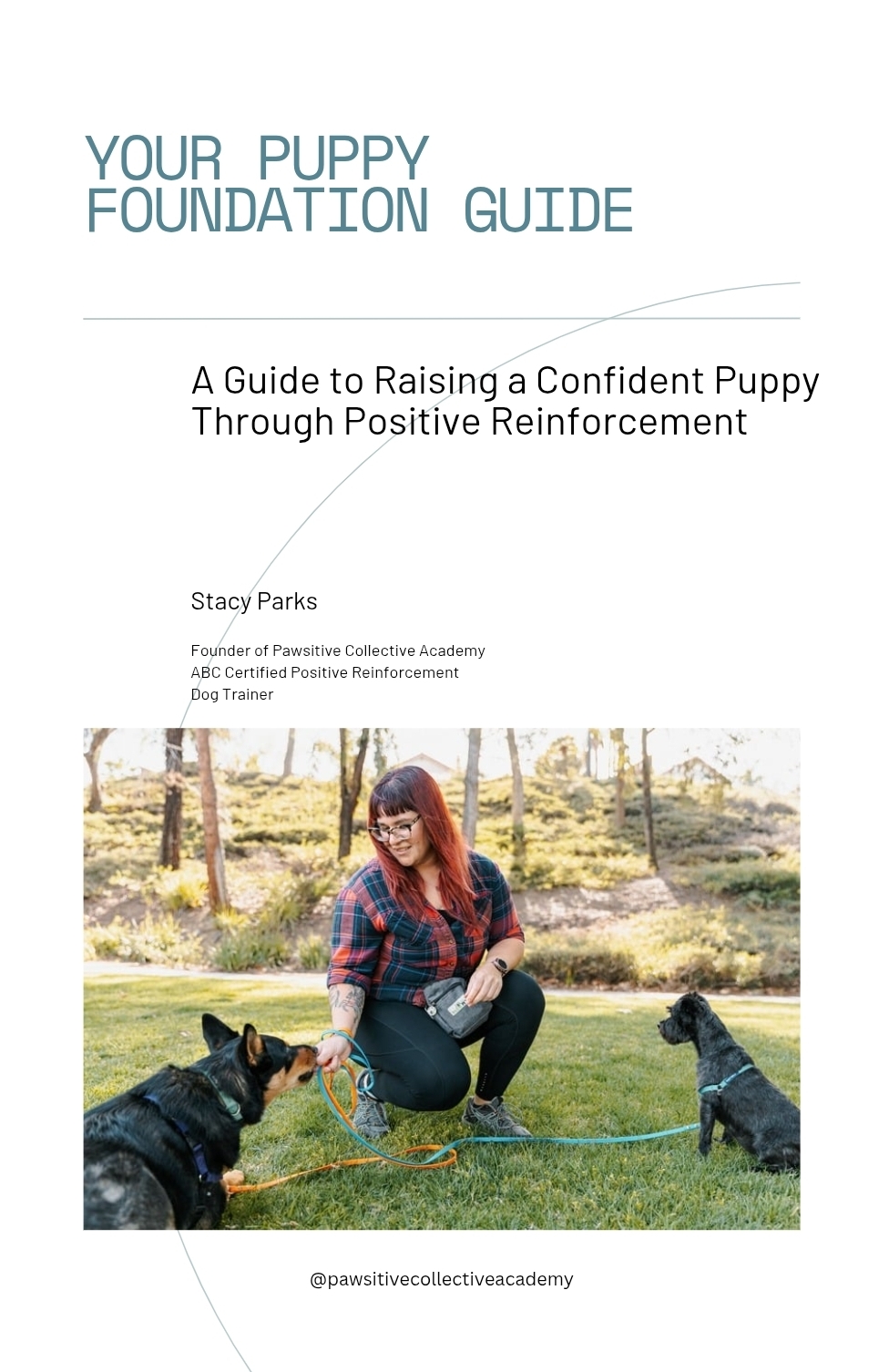 brown and white english bulldog puppy on green grass field during daytime