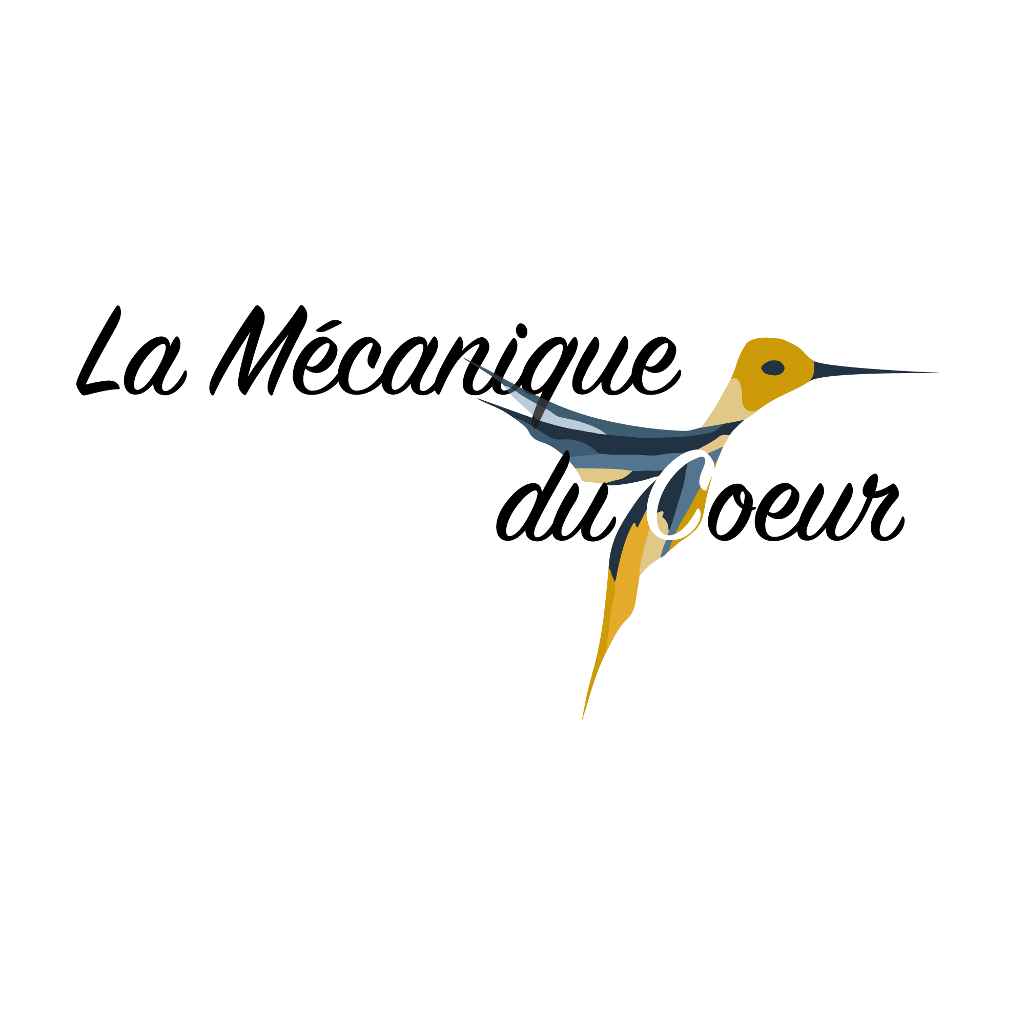 Brand Logo
