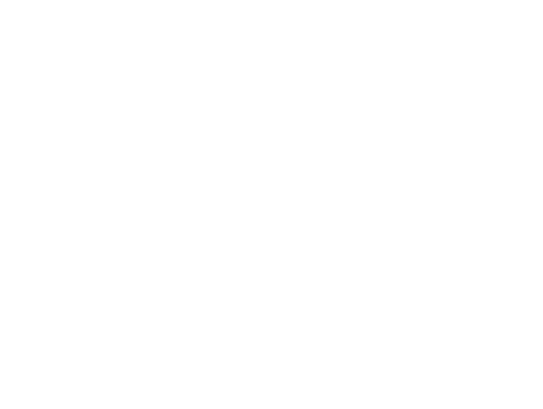 Roberto Martins
