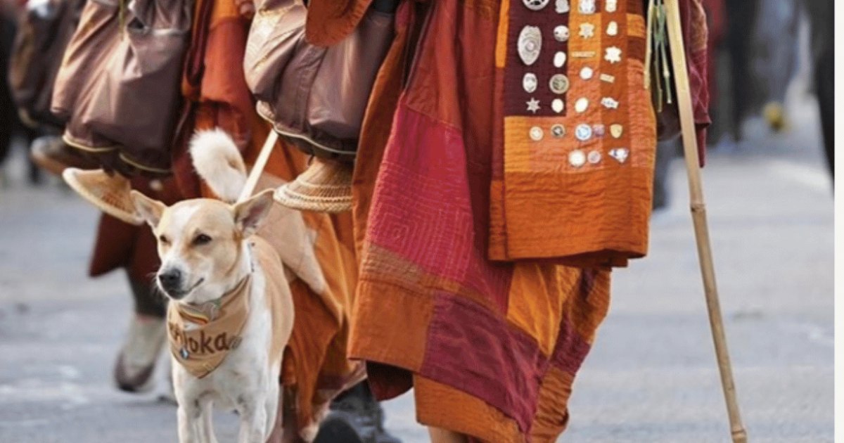 The Walk for Peace: 2,000 Miles on Foot Across America, One Step at a Time