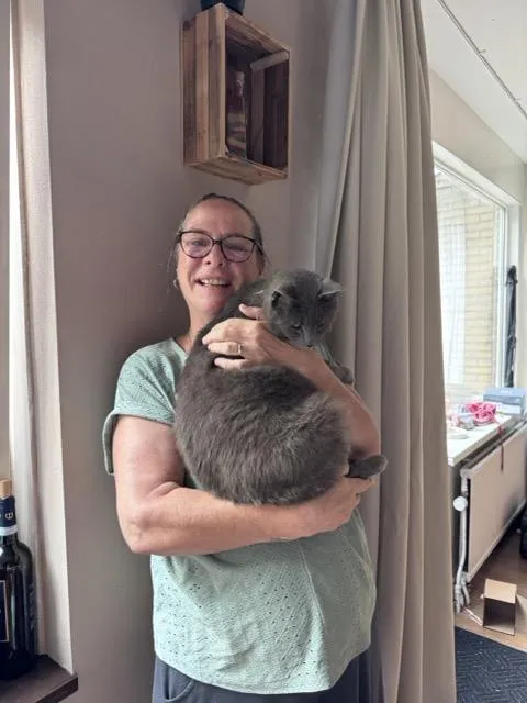 Onze geweldige kat Bumper