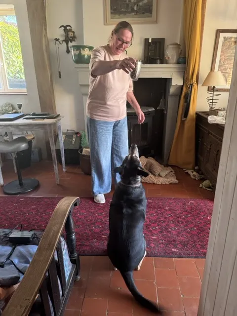 Onze geweldige kat Bumper