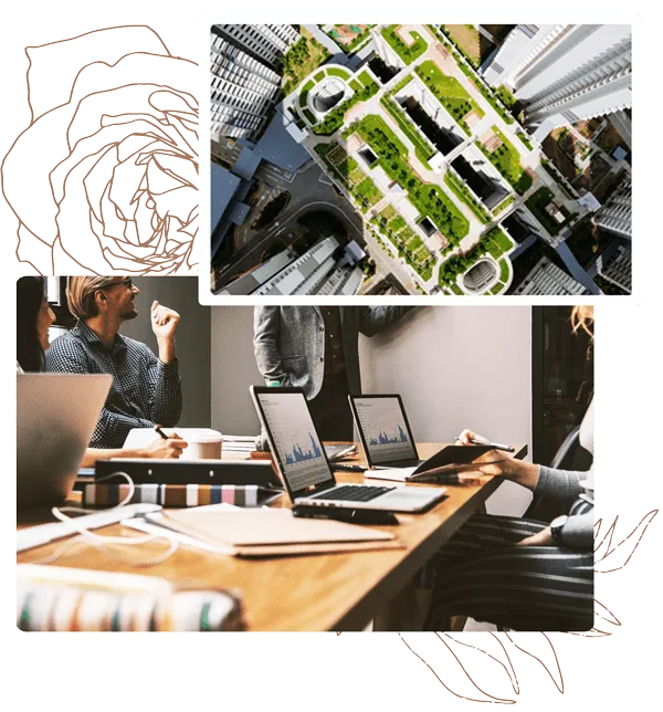 Hedgehog Coaching for Organizations & Teams