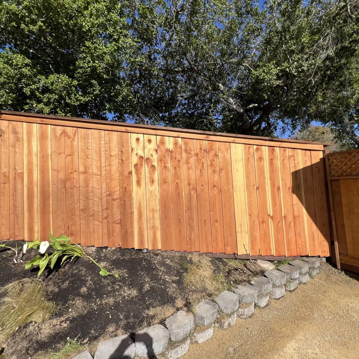 Landscape Contractor in Ventura County