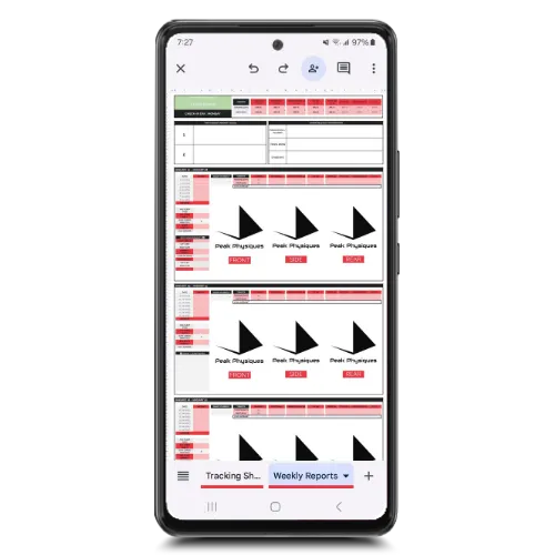 Peak Physiques - Weekly Reporting System