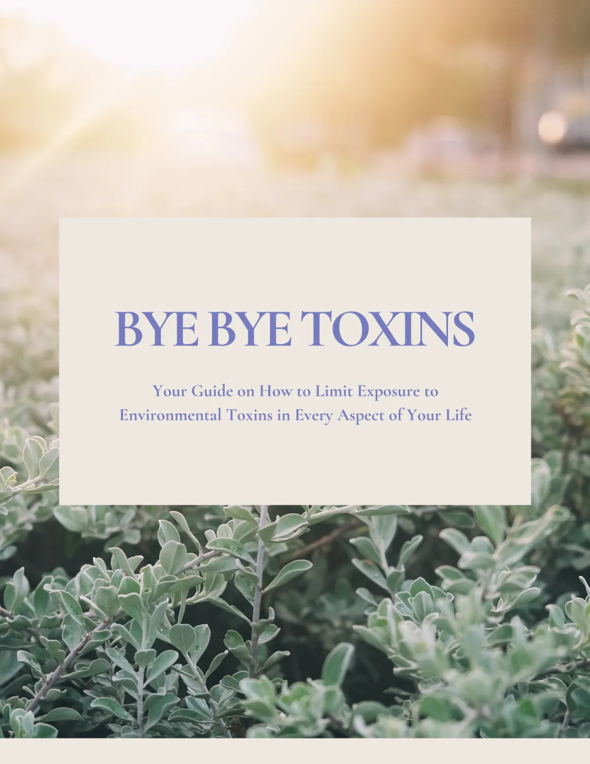 Get Rid Of Toxins Starter Guide photo