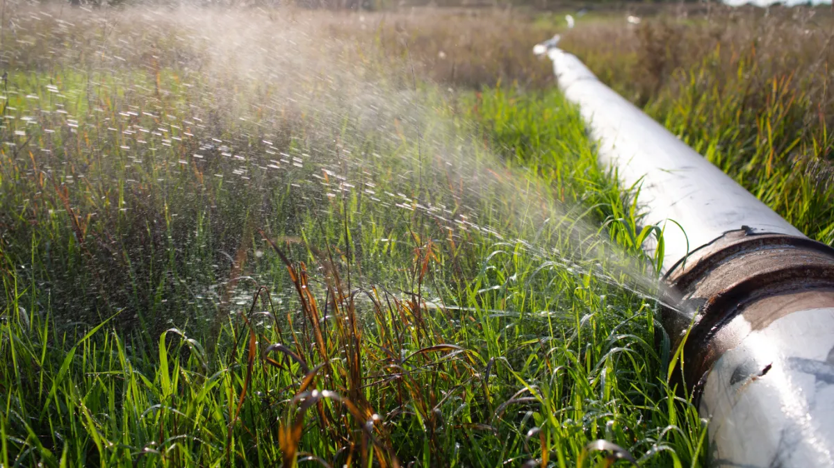 Leak Detection