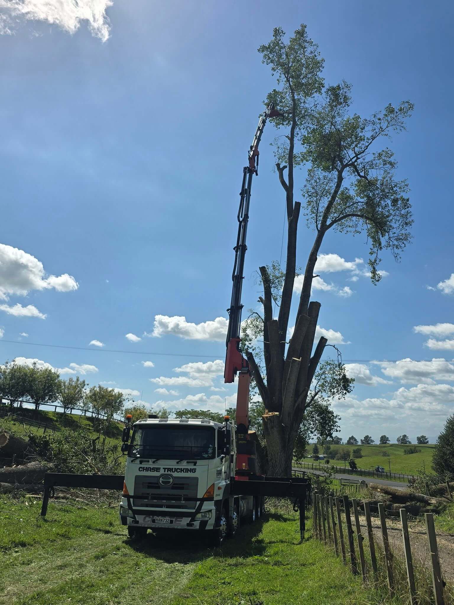 Hiab grapple truck clearing trees and sections in Hamilton
