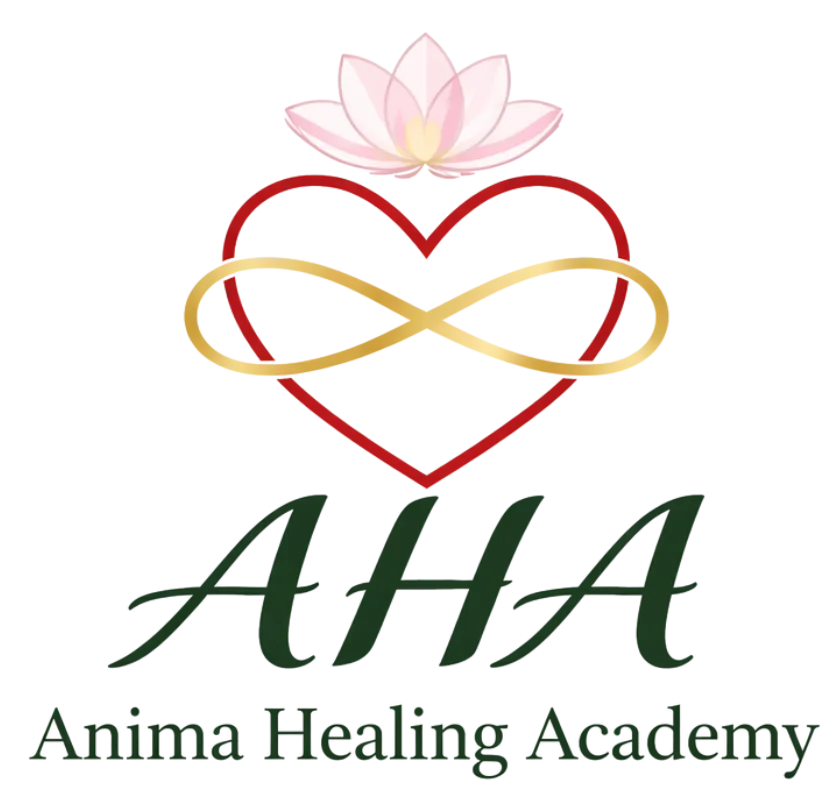 Anima Healing Academy