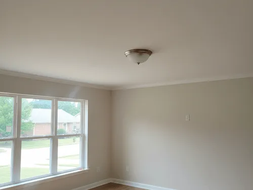 Olive Branch, MS Ceiling Painting
