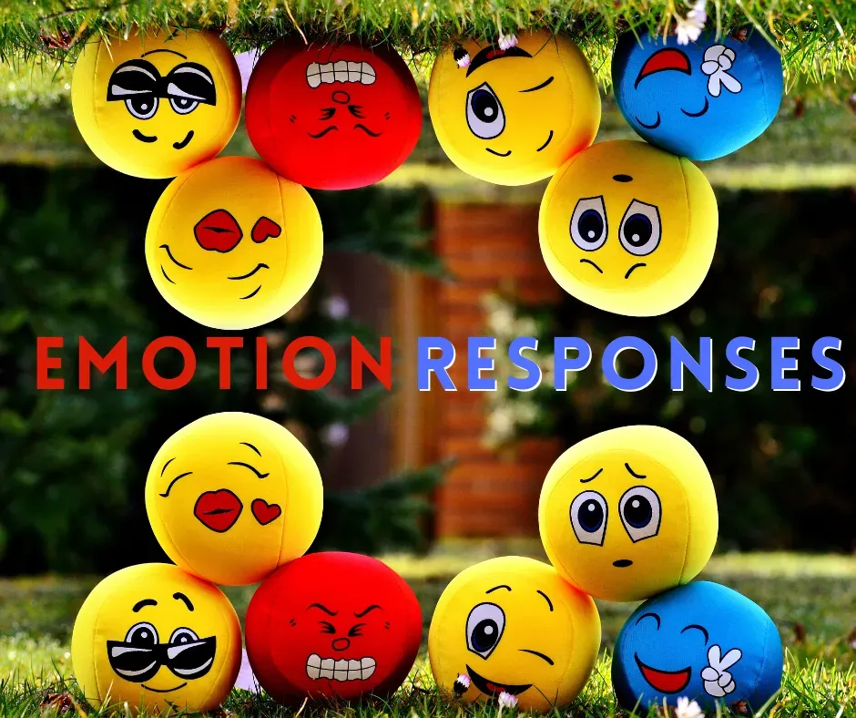 9 emotions and 9 responses