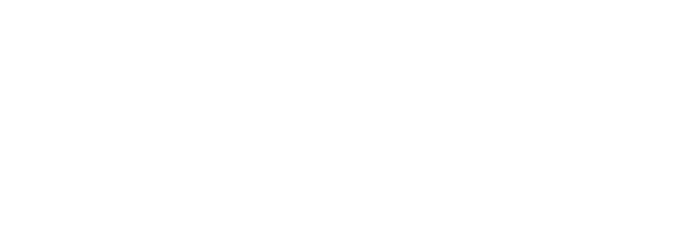 The Dallas Morning News