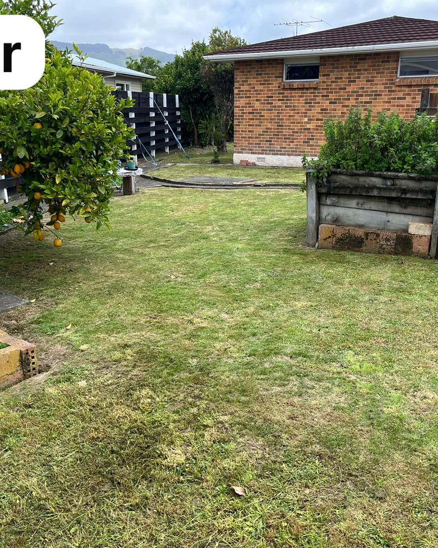 lawn mowing Upper Hutt small residential yard tidy up
