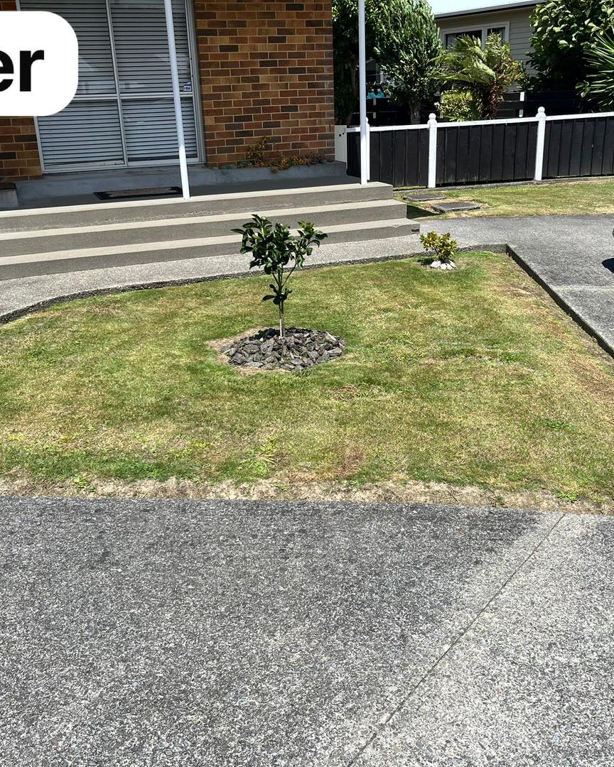 lawn edging and mowing Upper Hutt front yard clean finish