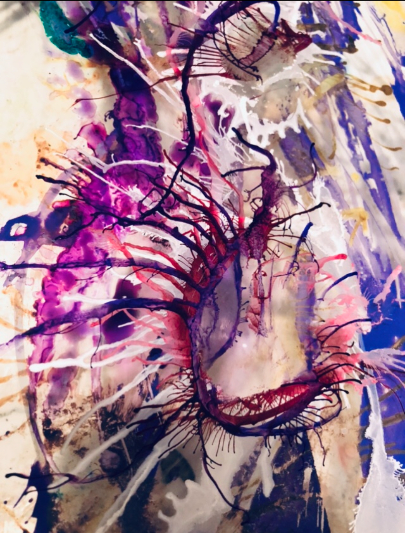 Assorted abstract paintings on a white painted wall