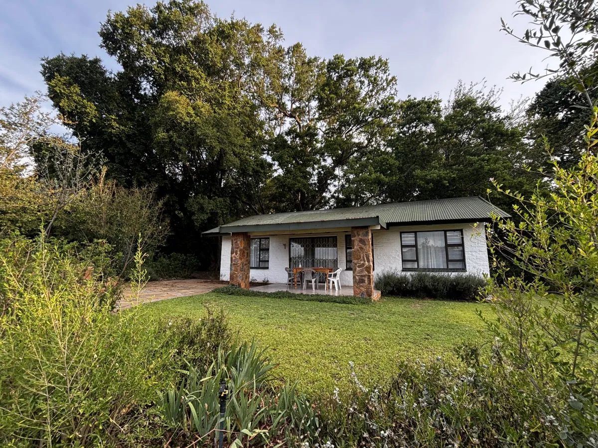 Farm-fresh breakfast basket provided to guests at Oude Doornbosch Cottages, including bread, fruits, and other local goodies.